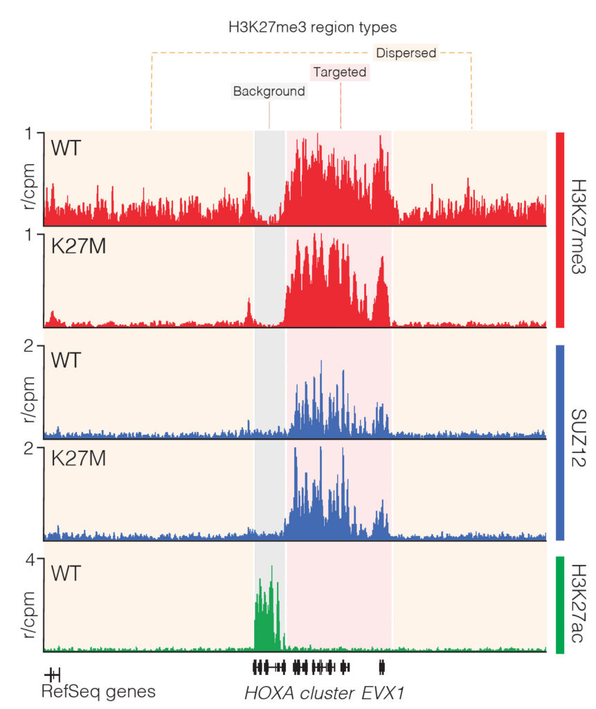 Cancer genomics and precision medicine - Genomics Data Science