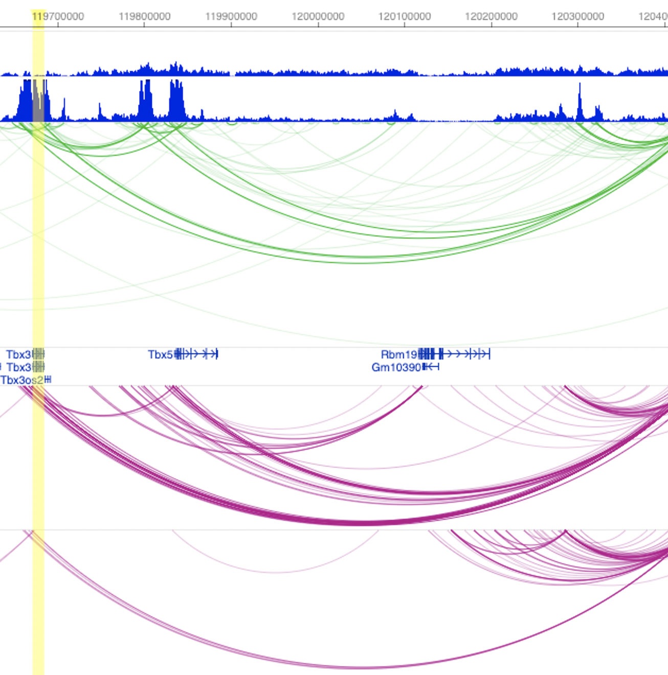 Cancer genomics and precision medicine - Genomics Data Science
